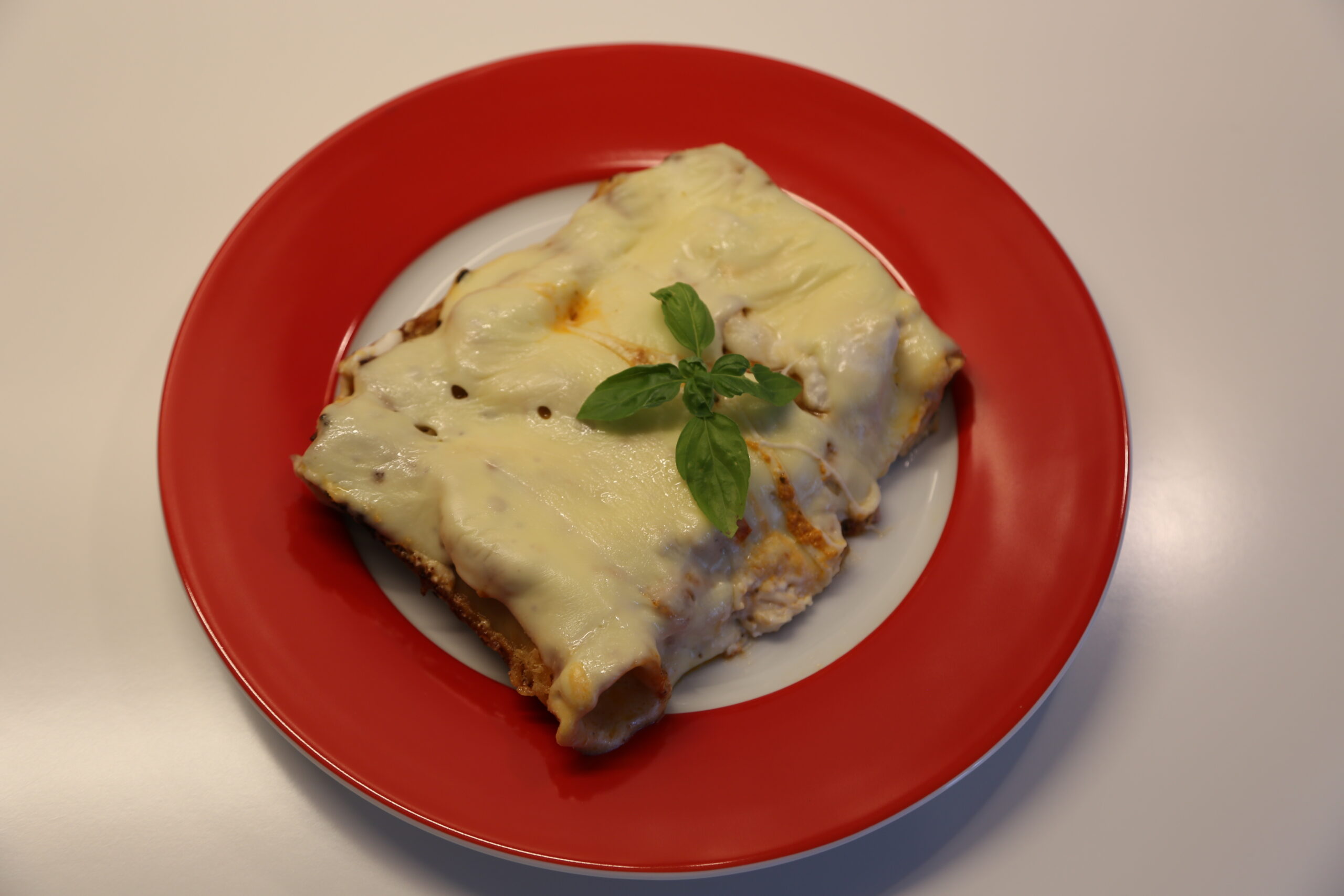 Cannelloni al forno (1)