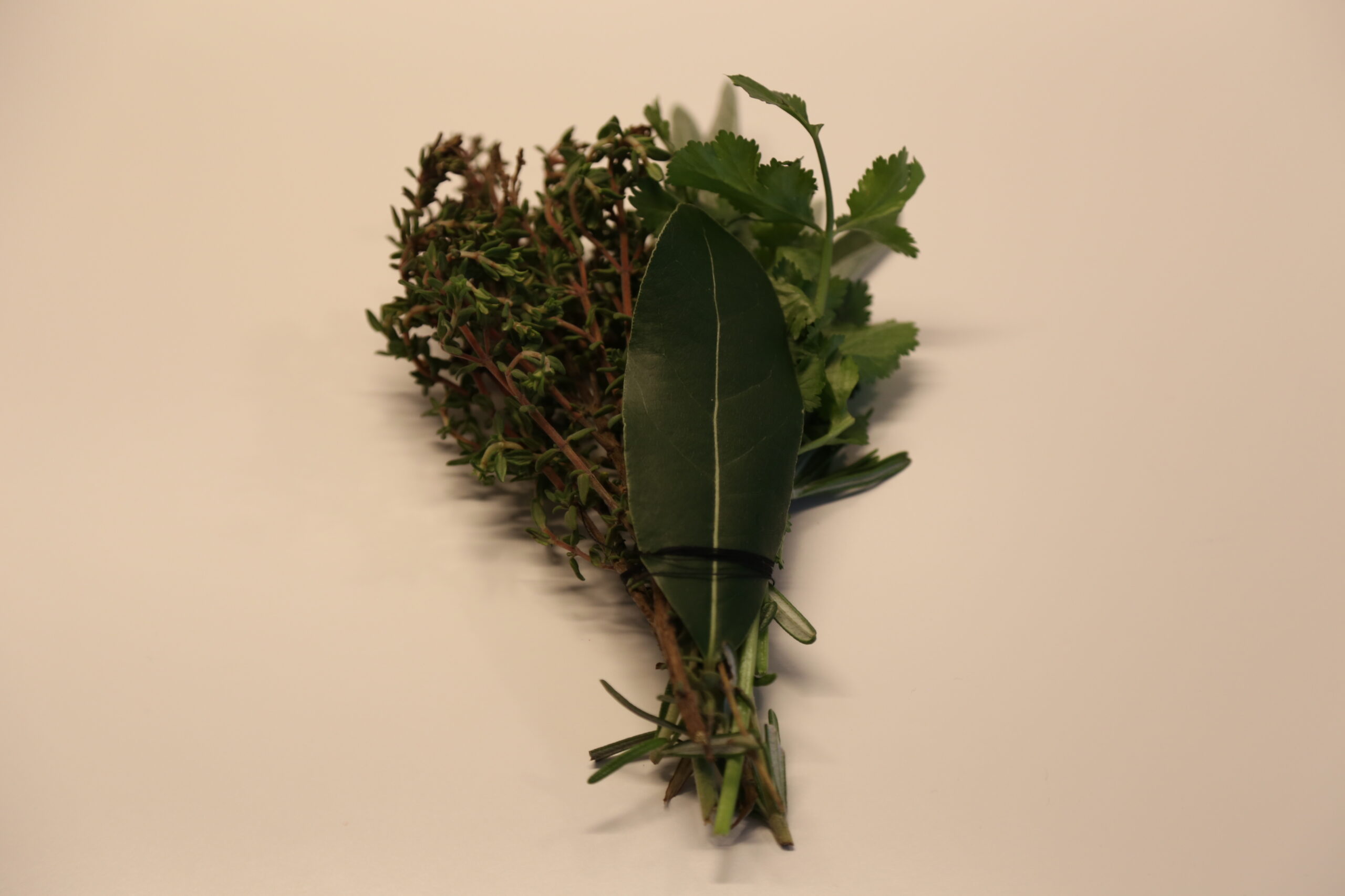 Bouquet garni-Gewürzmischung (1)