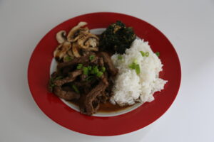 Bulgogi (1)