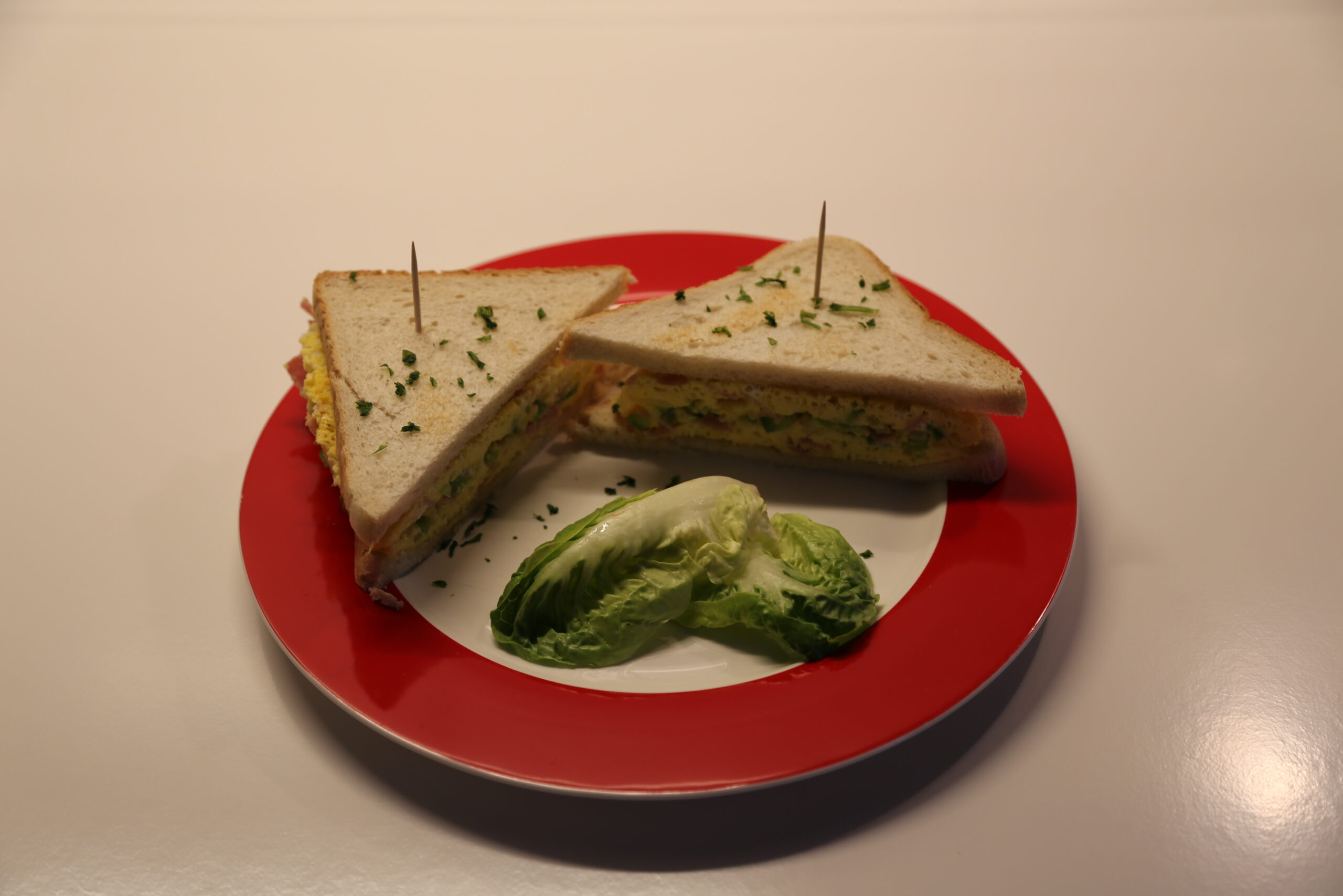 Denver Sandwich (1)