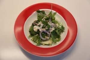Chusa-Salat (1)