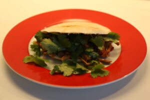 Rou Jia Mo (1)