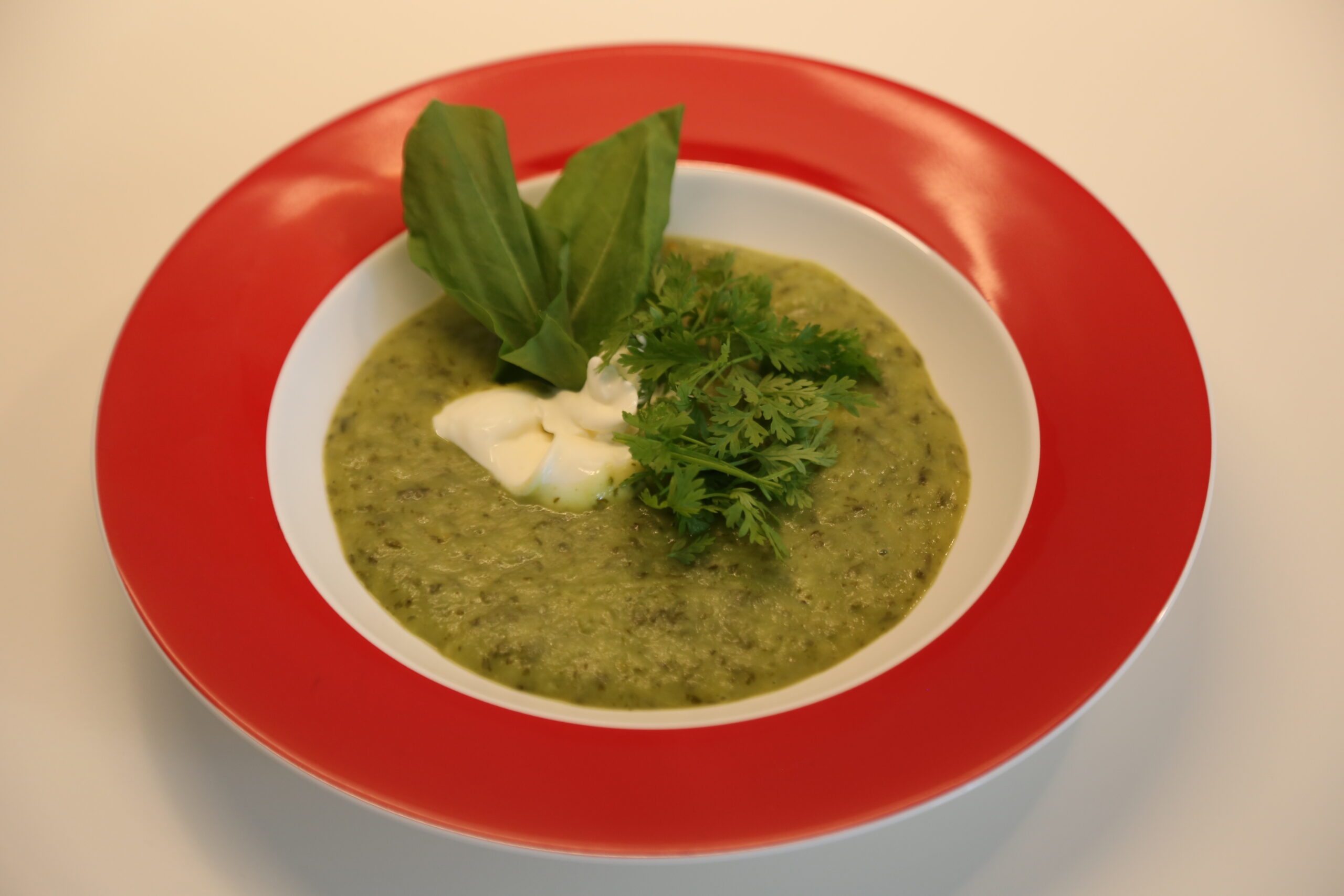 Sauerampfersuppe (1)