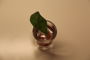 Pomegranate Shot (1)