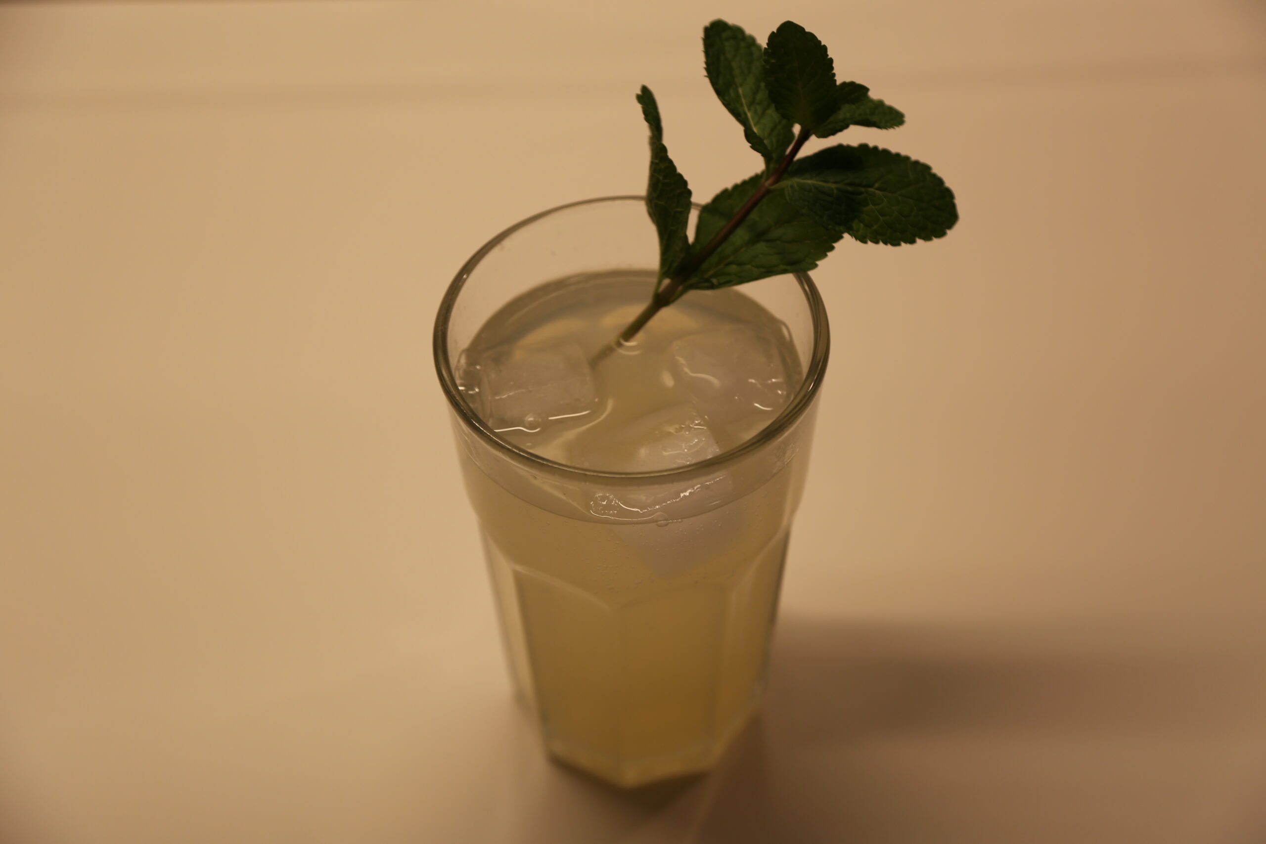 Gin Gin Mule (1)