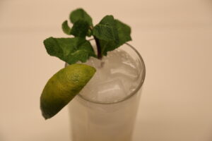 Gin Fizz (1)