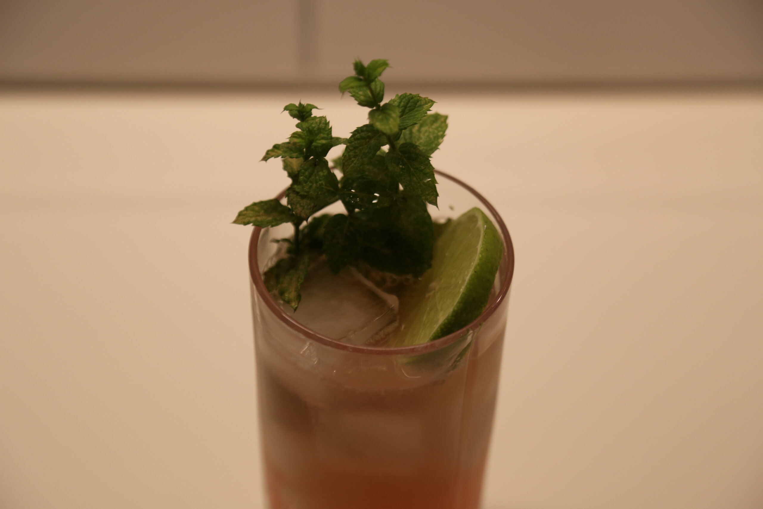 North Beach Cooler (1)