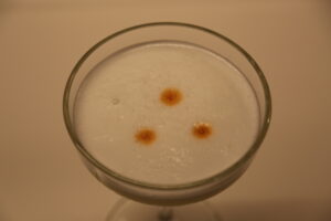 Pisco Sour (1)