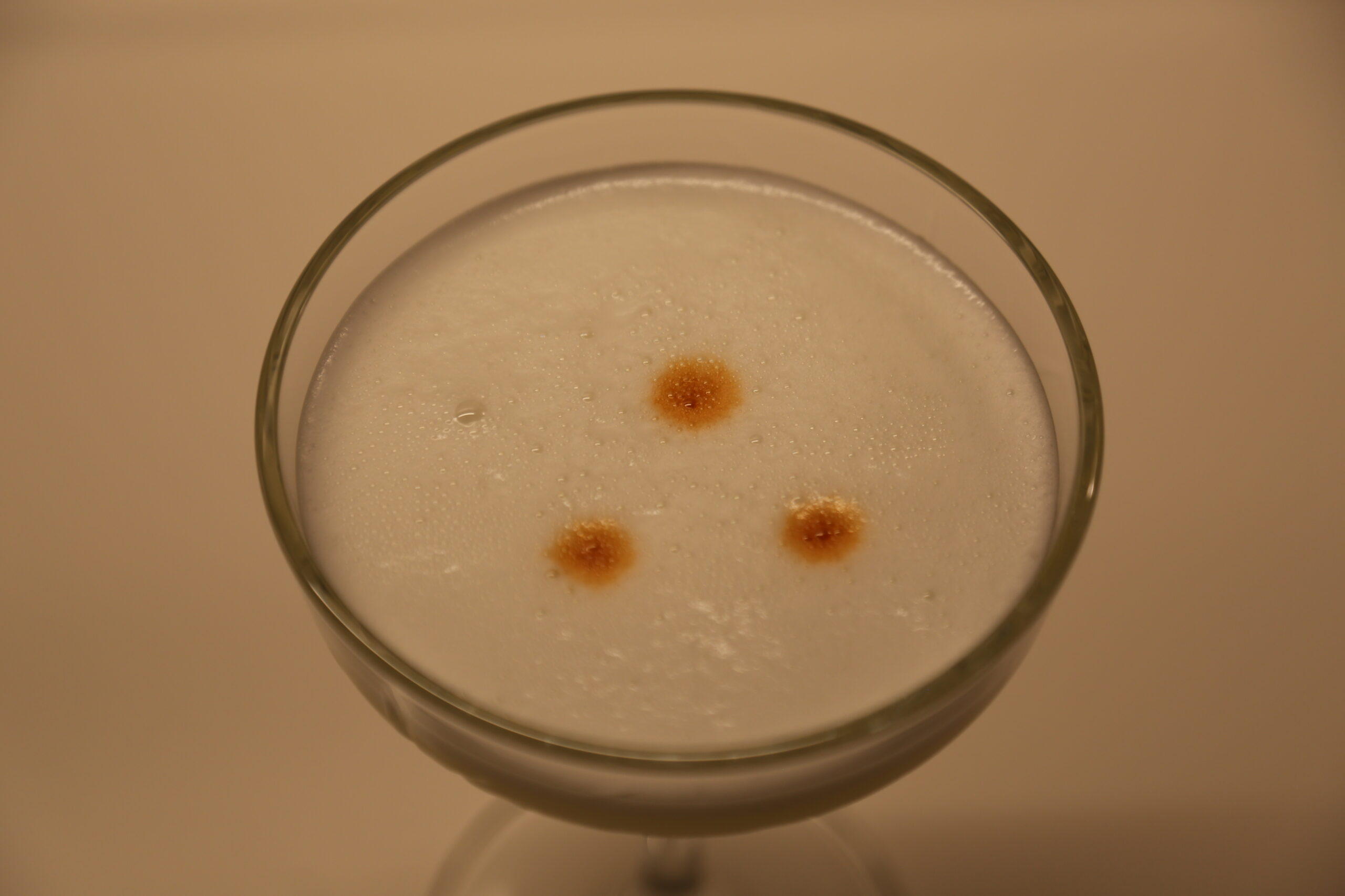 Pisco Sour (1)