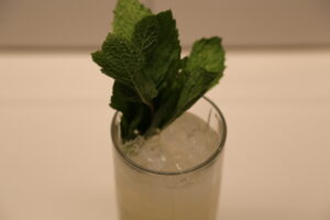 Caballito Mojito (1)