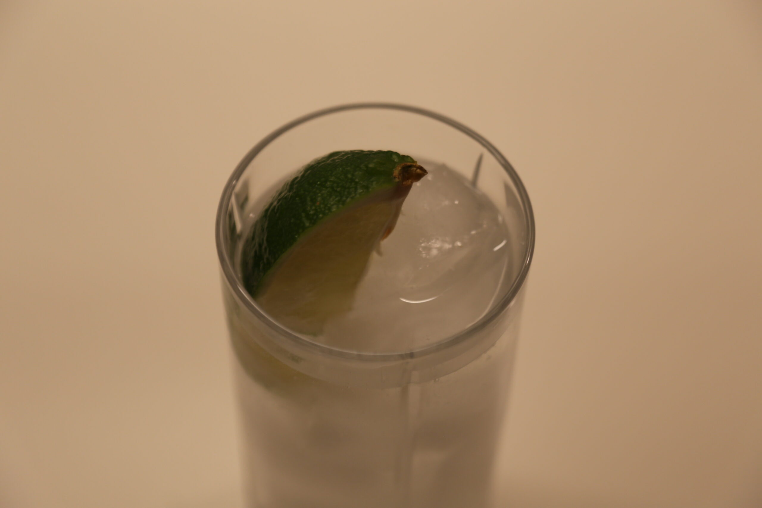 Gin Sonic Highball (1)