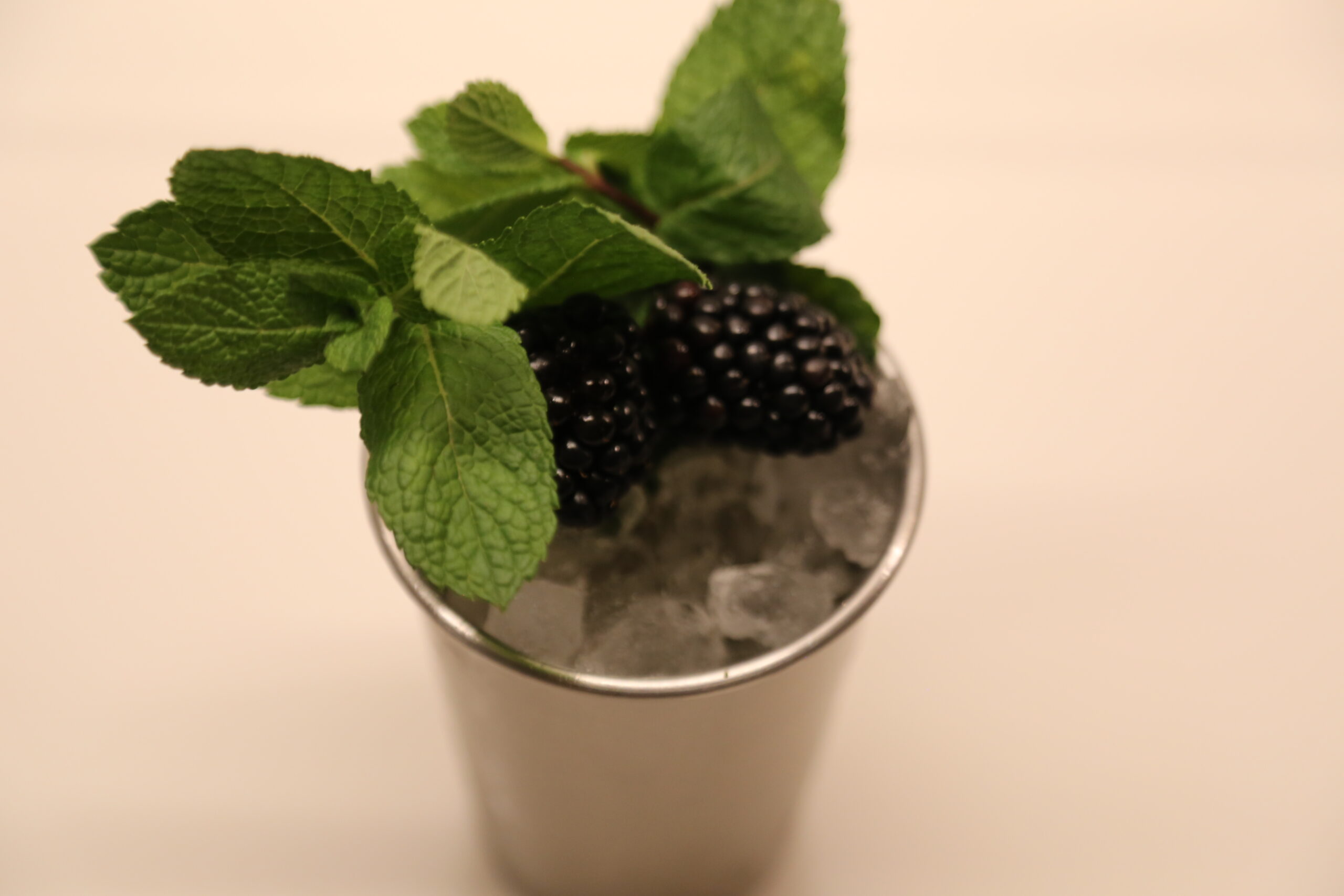 Blackberry Mint Margarita Julep (1)