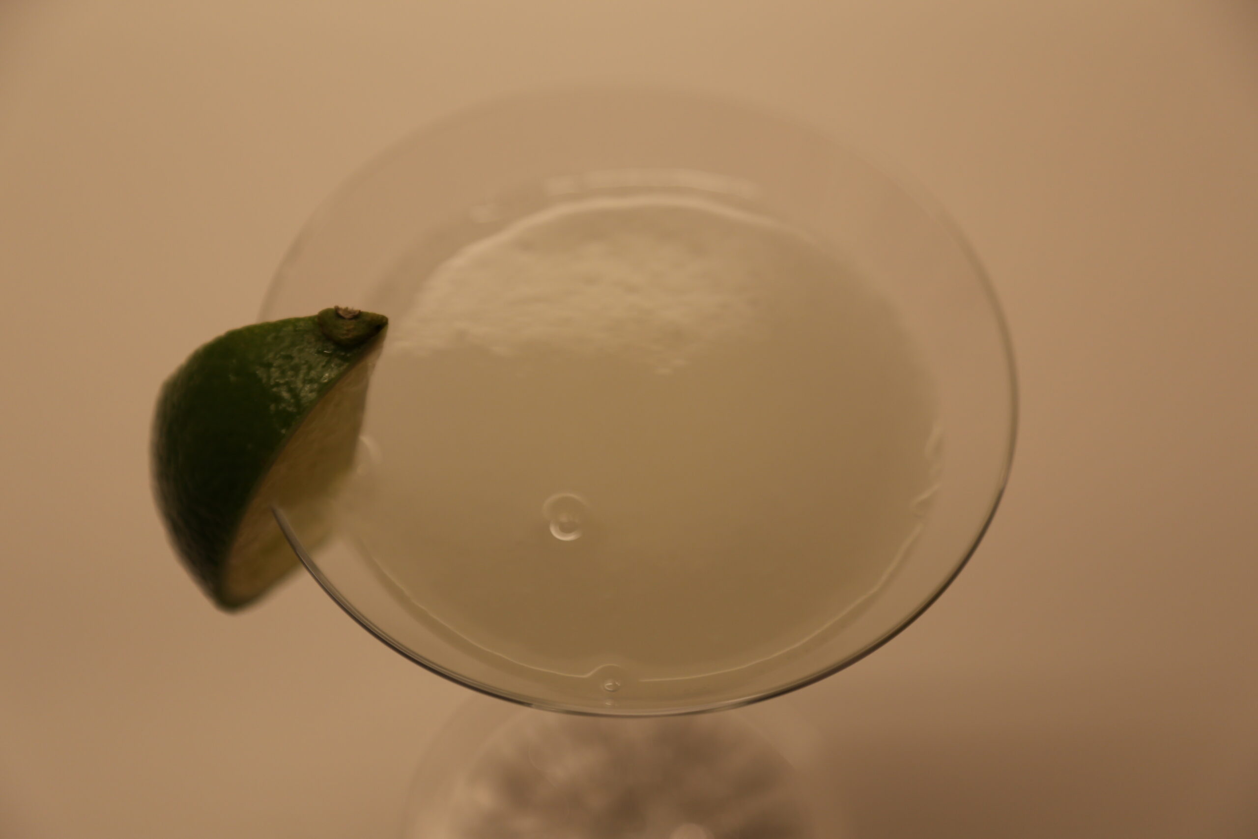 Beachcomber (1)