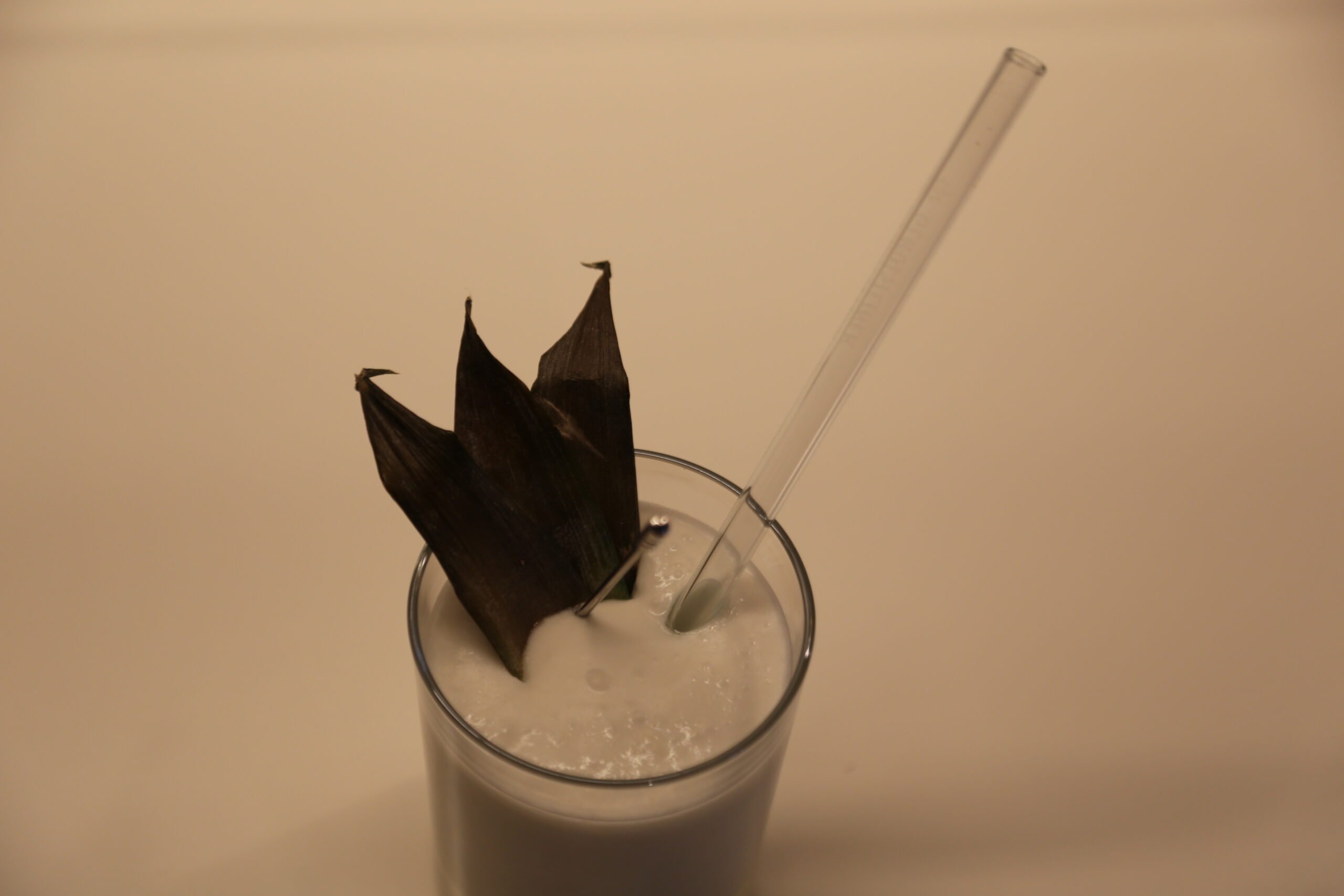 Piña colada (1)