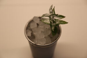Jalisco Mint Julep (1)