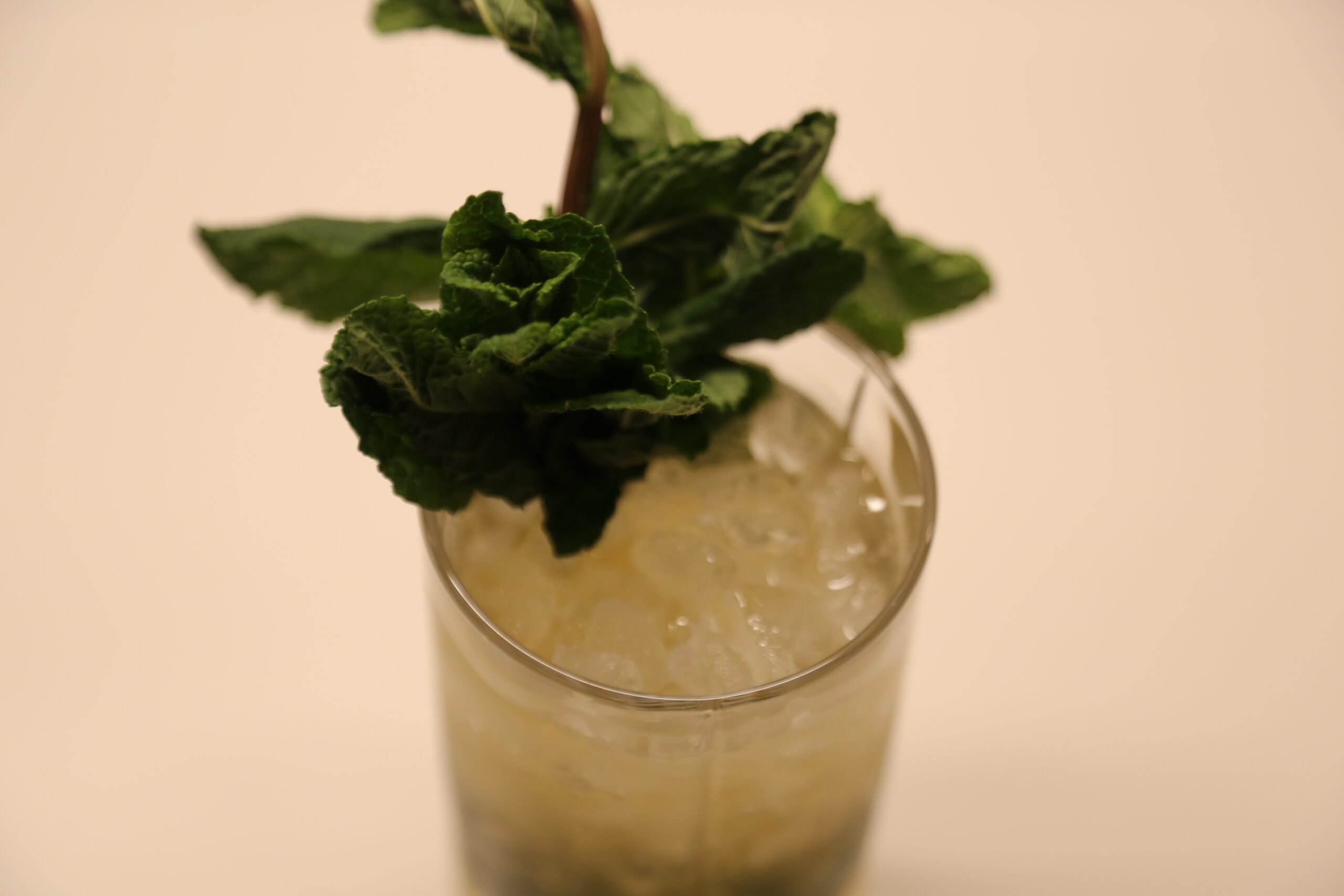 Royal Mojito-Champagne Mojito (1)