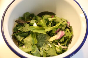 Warenkunde Salat