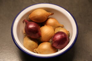 Warenkunde Zwiebel