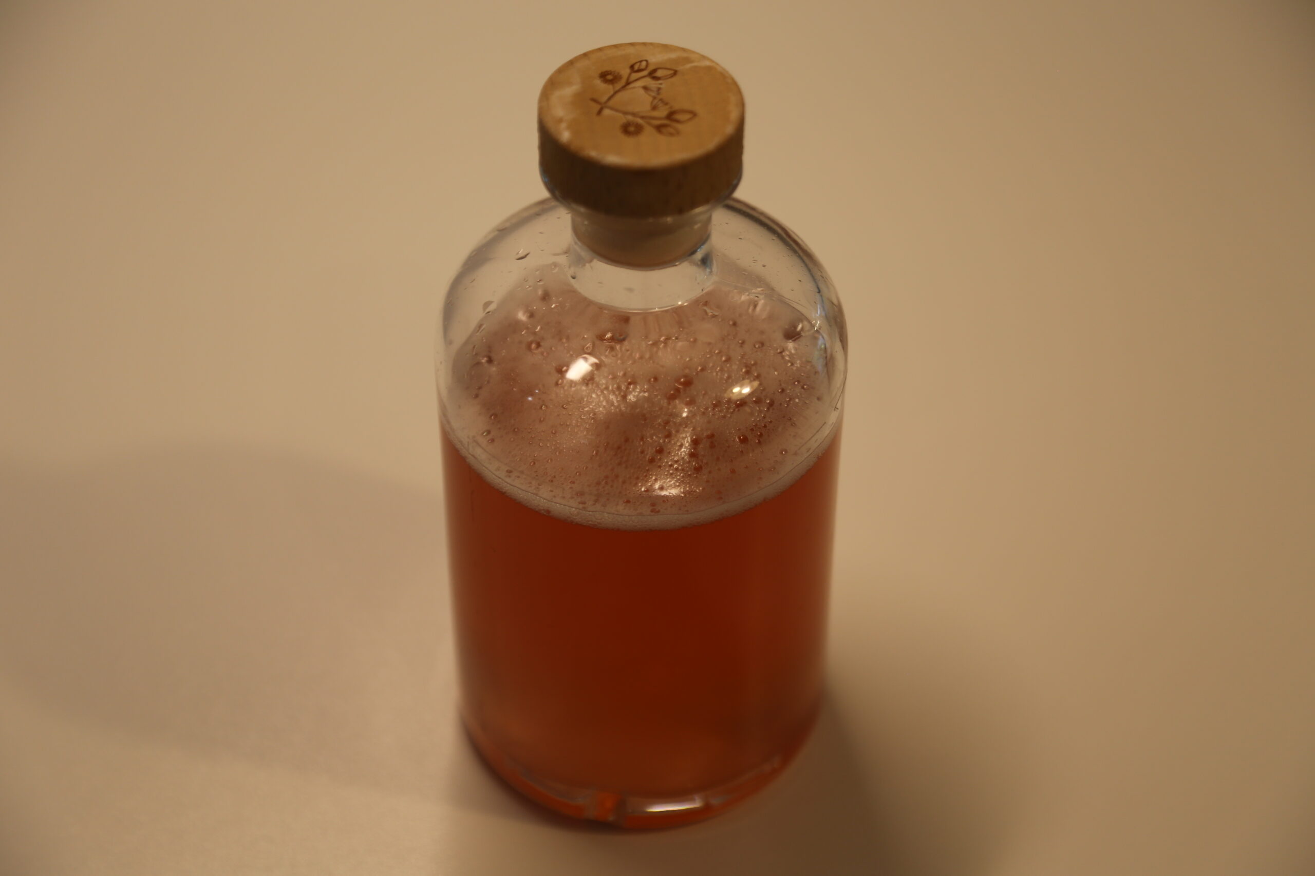 Rhabarbersirup (1)