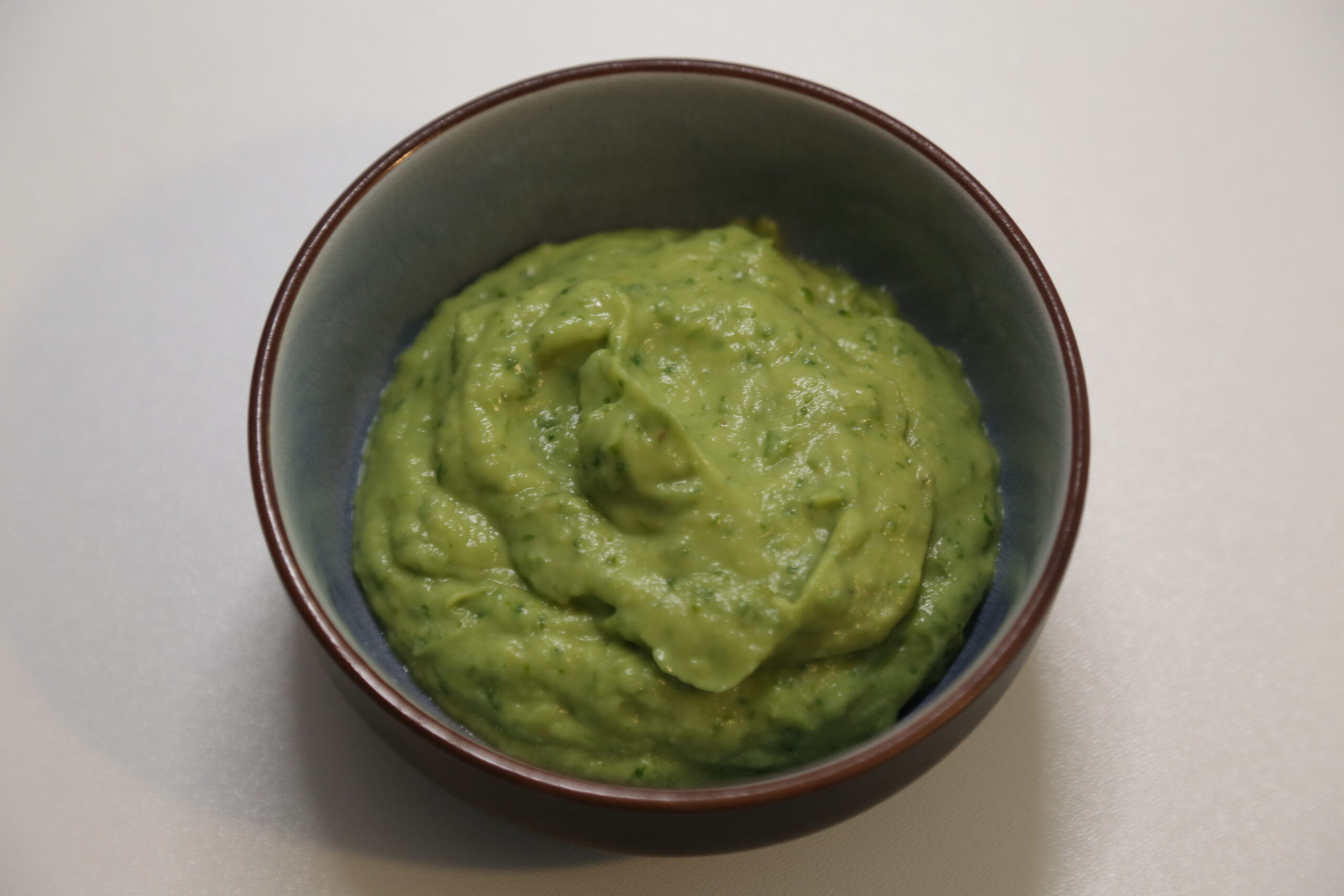 Salsa de Aguacate (1)