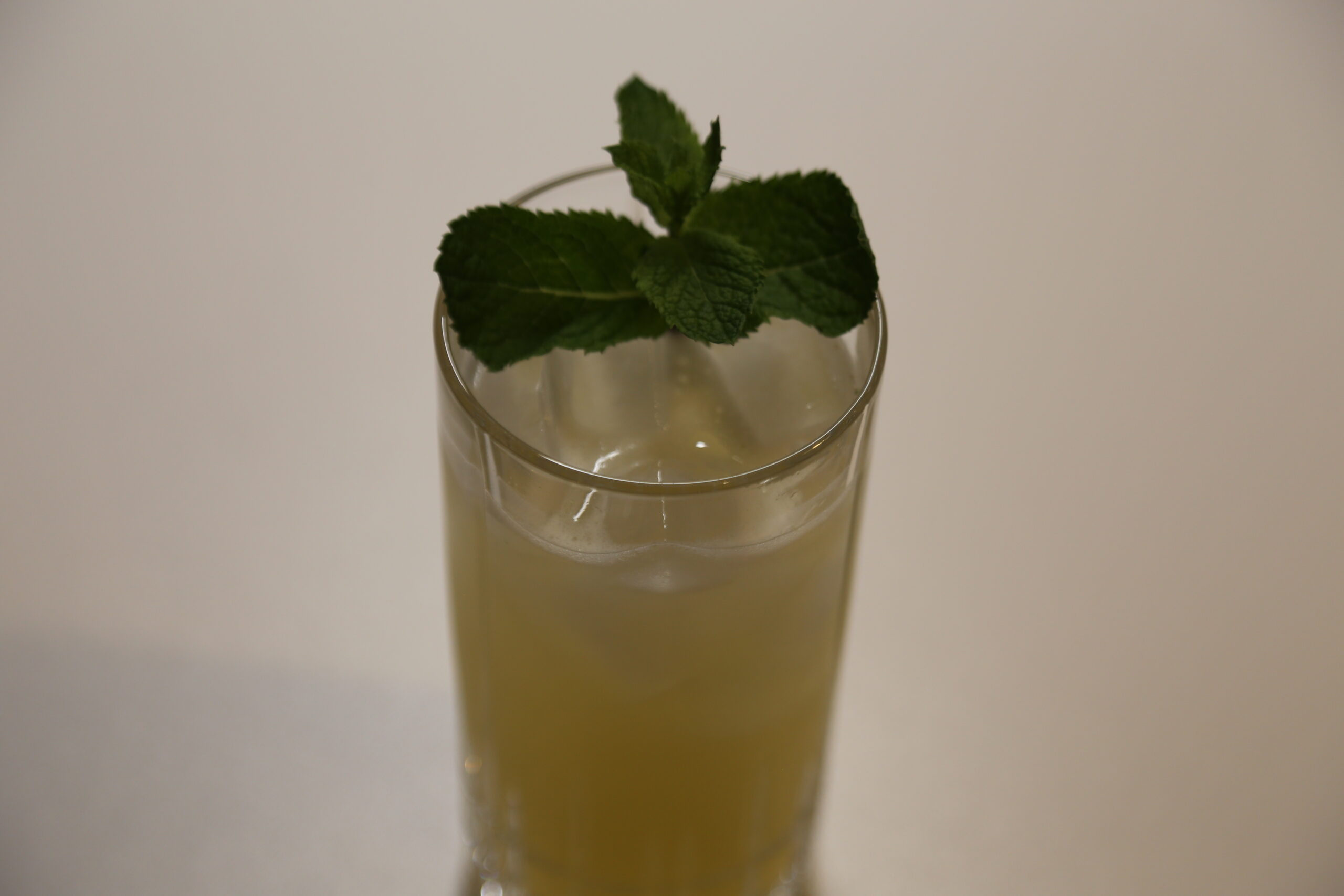 Mint Limeade (1)