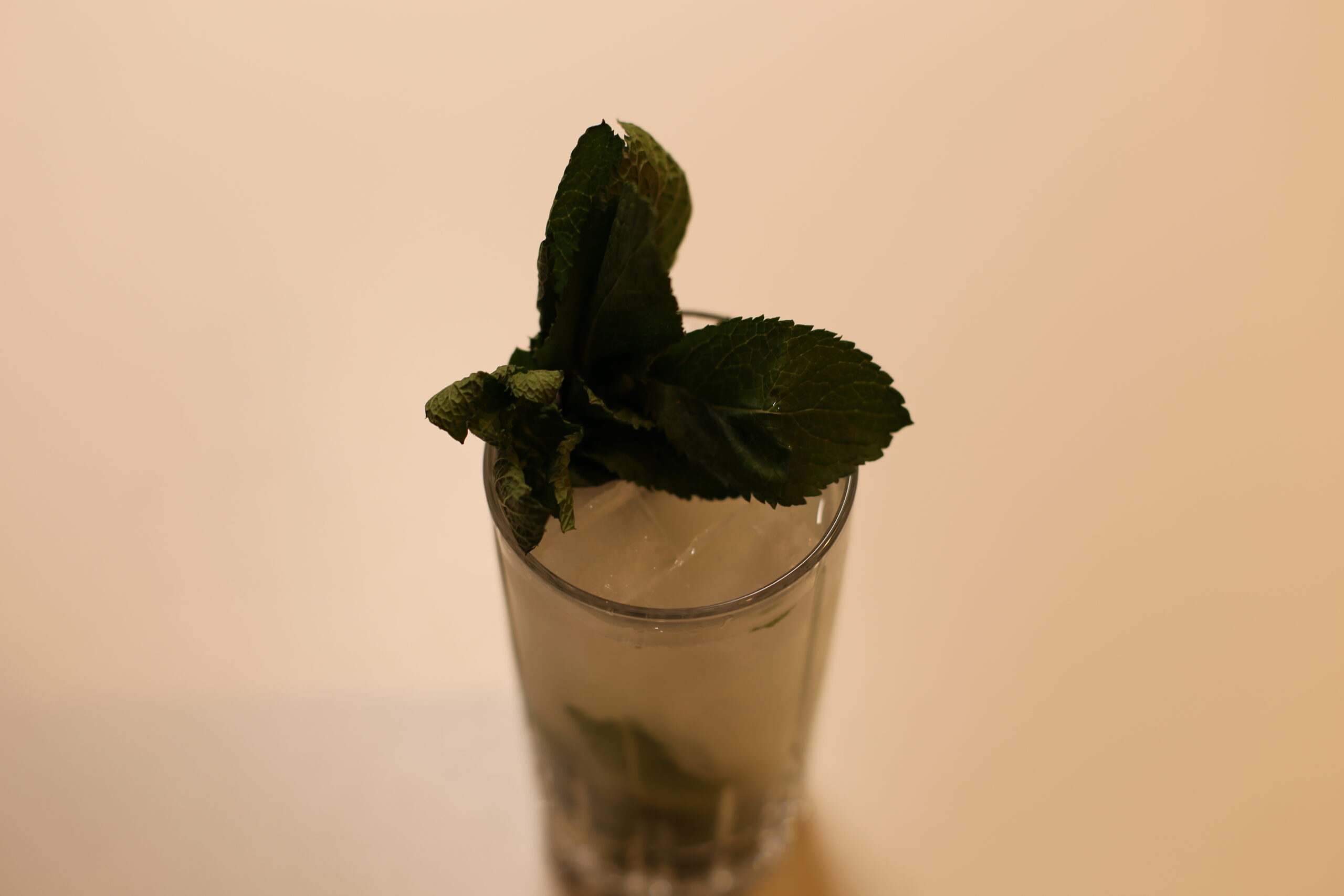Mojito (Cuban Style) (1)
