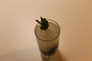 Mojito de Casa (1)