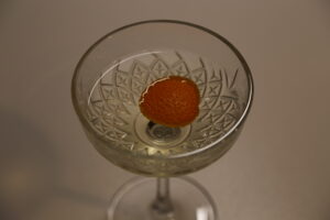 Snyder Martini (1)