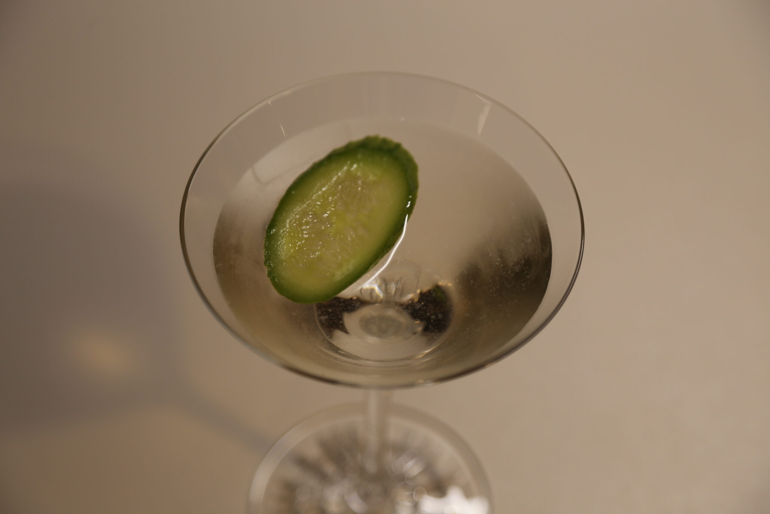 Noshino Martini (1)