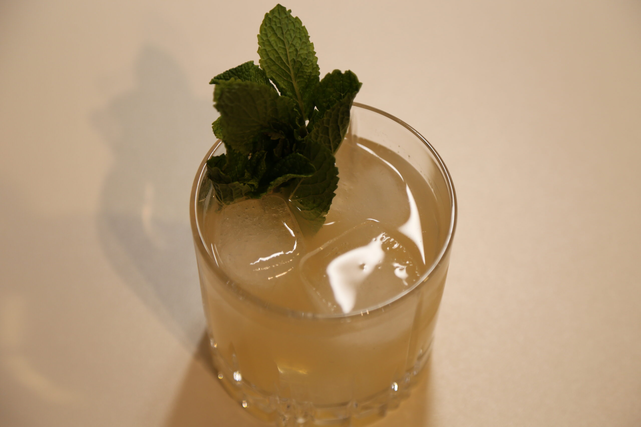 Make a Mint (1)