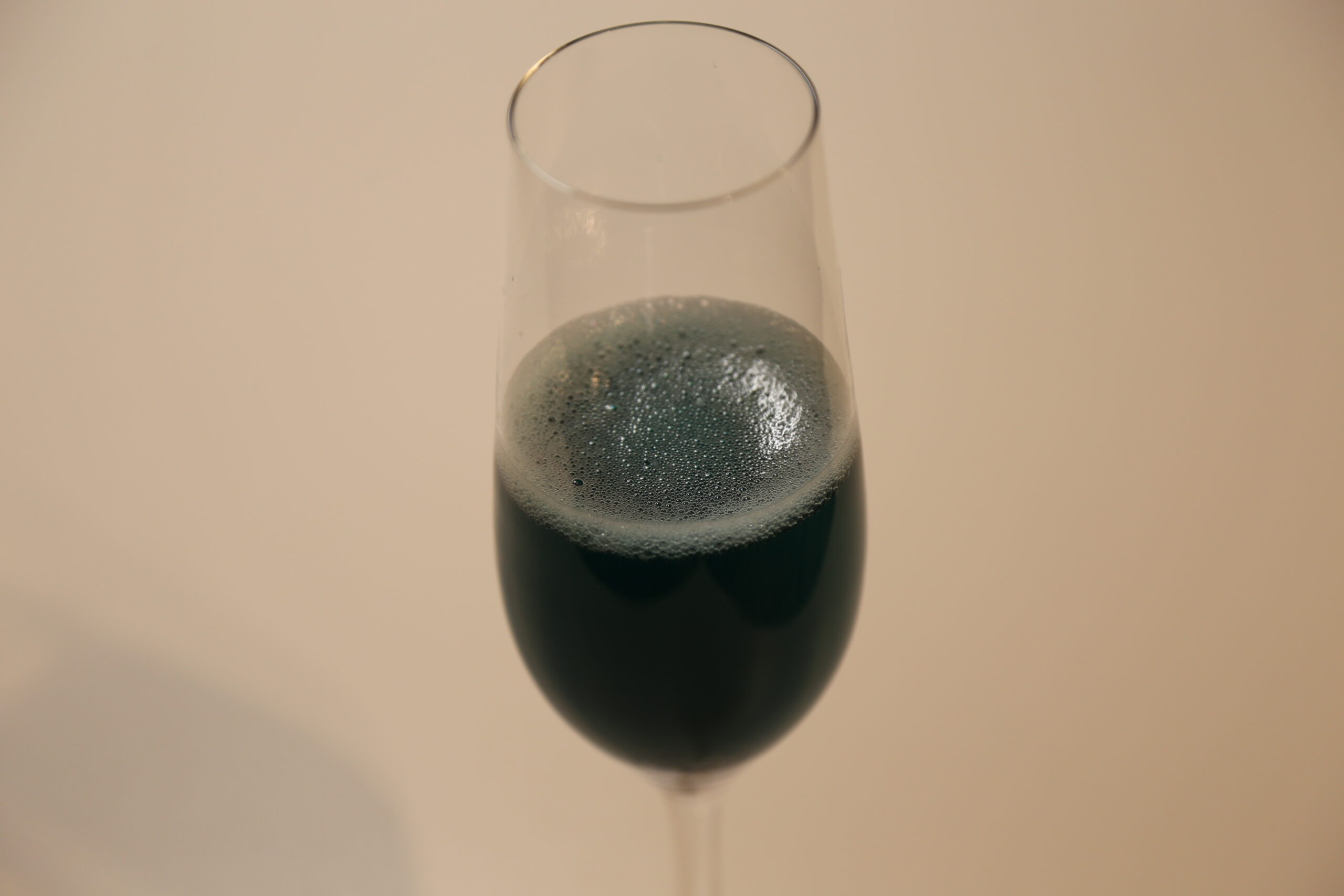 Black Mussel (1)
