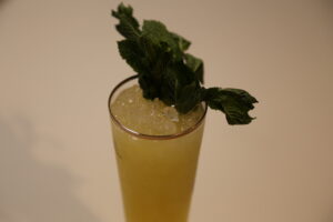 Major Bailey No. 2 (1)